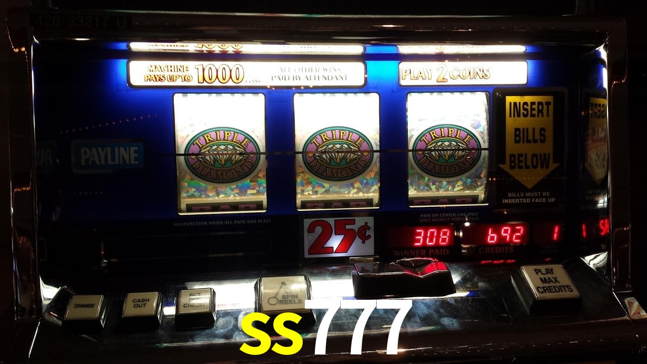 Sports Statistics ss777